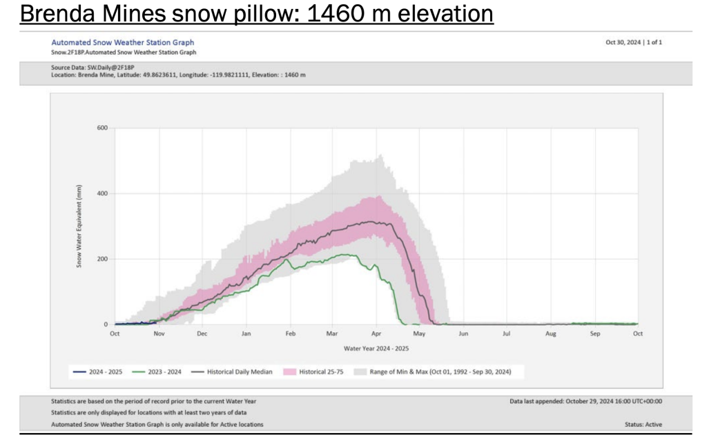 Brenda Mines snow pillow