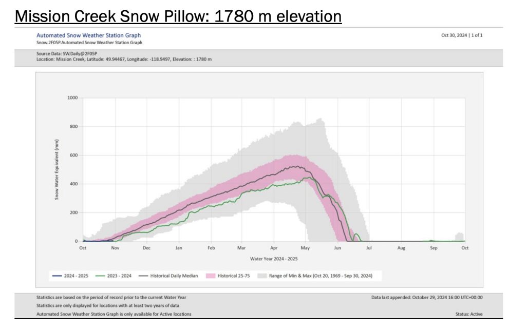 Mission Creek Snow Pillow