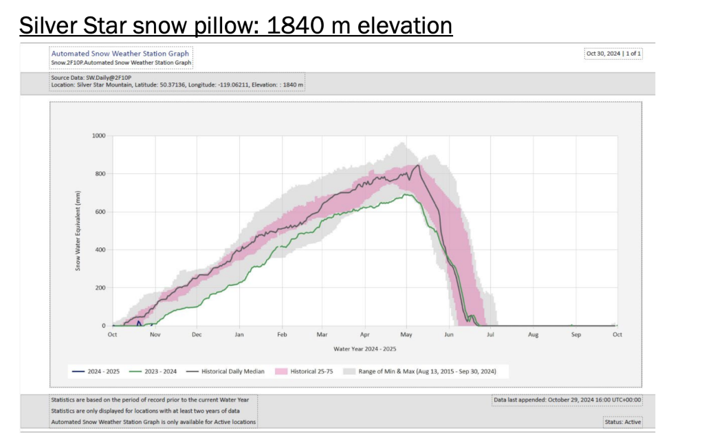 Silver Star Snow Pillow